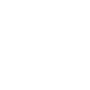 Fall Guys